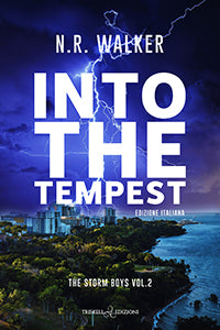 Into the tempest - N.R. Walker