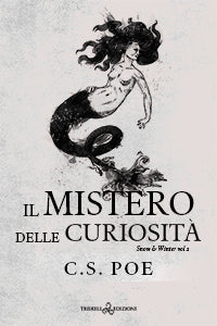 Il mistero delle curiosità - C.S. Poe