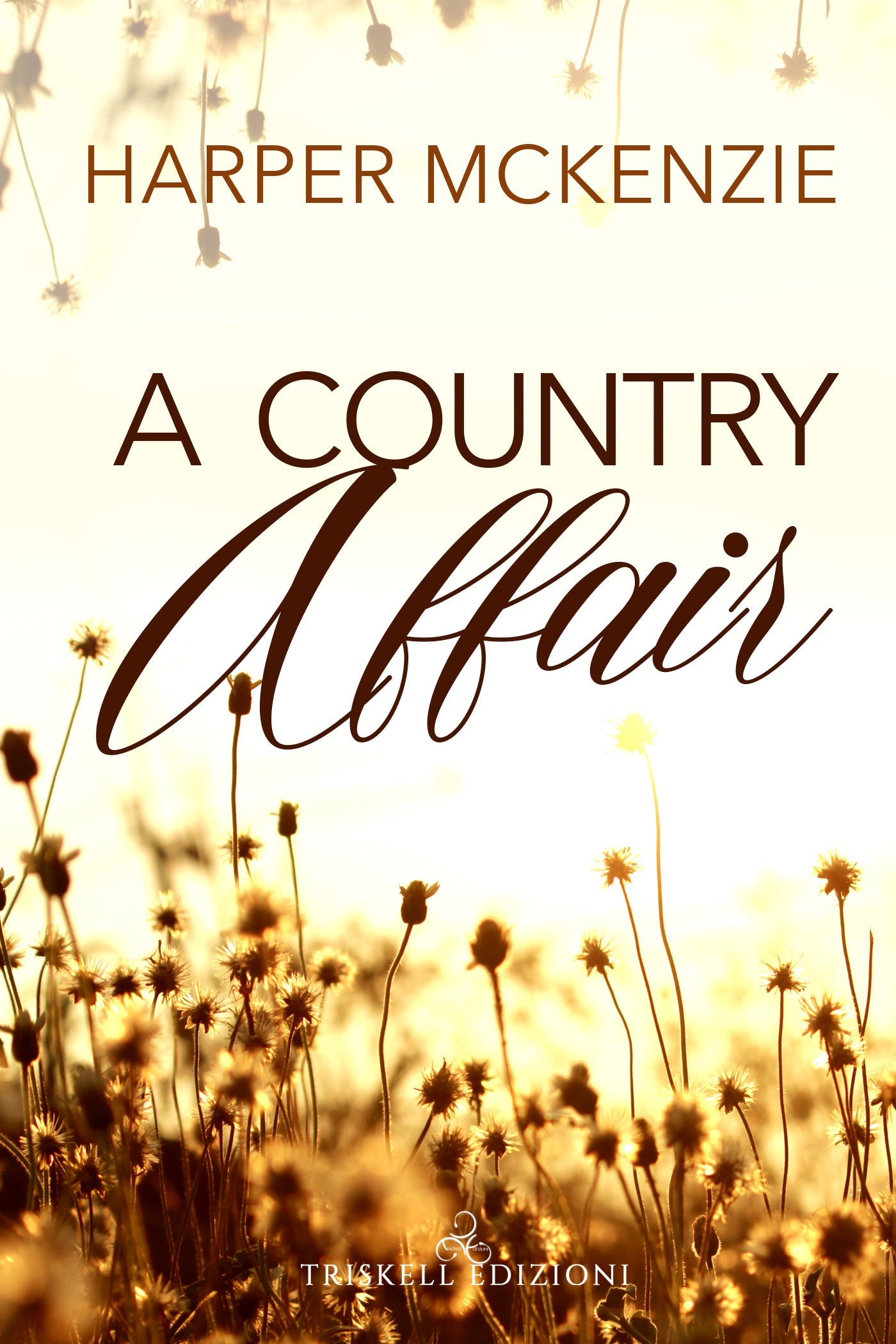 A country affair - Harper McKenzie