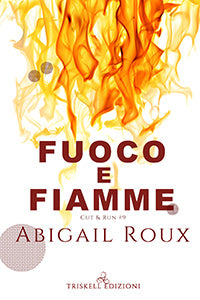 Fuoco e fiamme - Abigail Roux